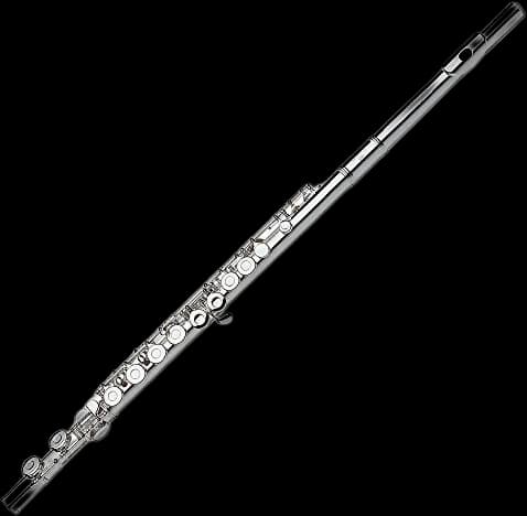 Gemeinhardt 2SP Flute