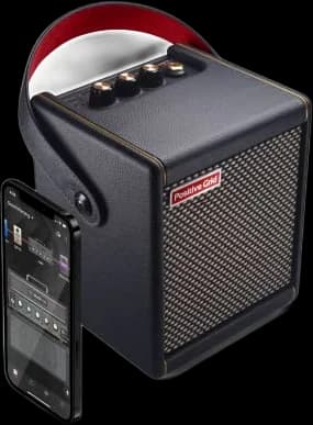 Positive Grid Spark Mini